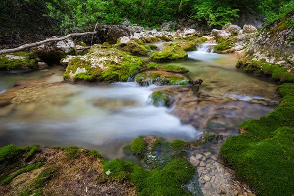 Bergsflod — Stockfoto