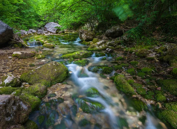 Río de montaña — Foto de Stock