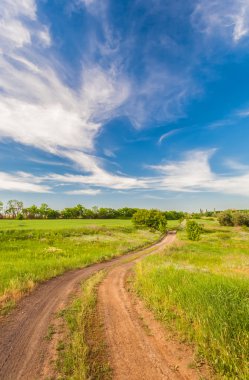 Yeşil çimenli yaz manzarası