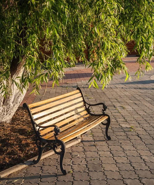 Banco de madeira em um parque — Fotografia de Stock