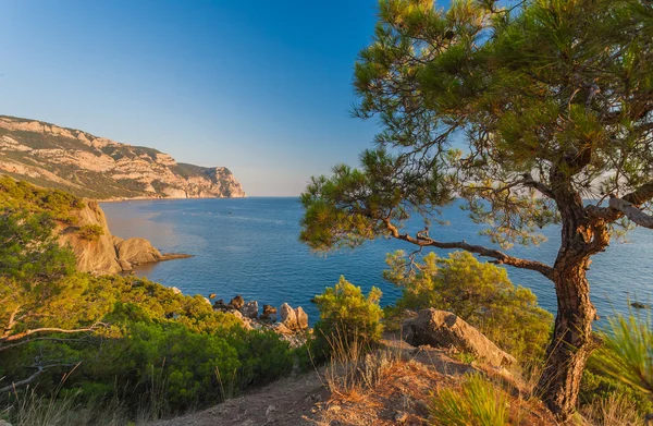 Stranden mellan klippor och hav. Svarta havet, Ukraina. — Stockfoto