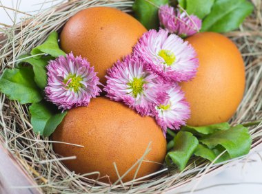 Tahta masada paskalya yumurtaları