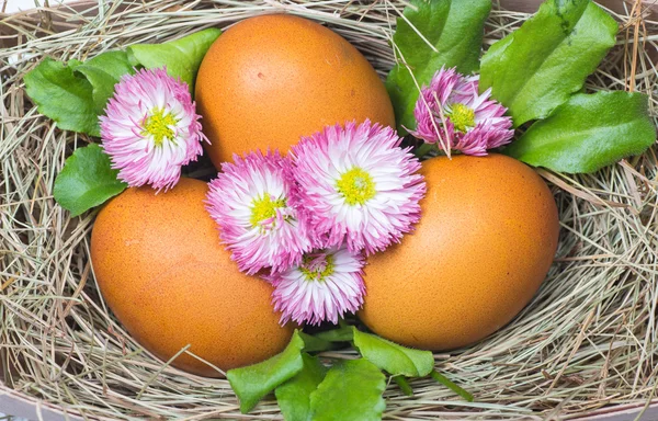 Huevos de Pascua en la mesa de madera —  Fotos de Stock