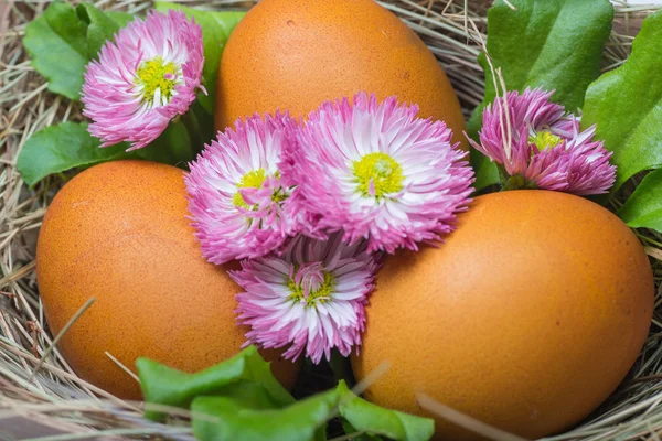 Huevos de Pascua en la mesa de madera —  Fotos de Stock