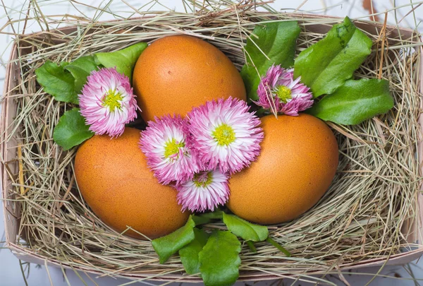 Ovos de Páscoa na mesa de madeira — Fotografia de Stock