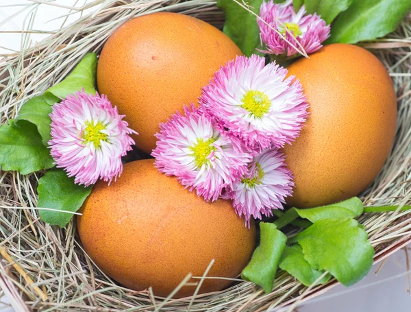 Ovos de Páscoa na mesa de madeira — Fotografia de Stock