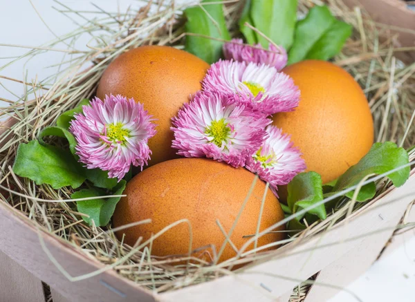 Huevos de Pascua en la mesa de madera —  Fotos de Stock