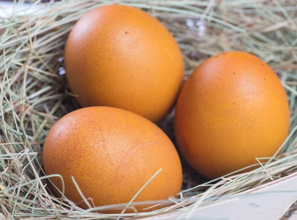 宏的褐色鸡蛋的拍摄 — 图库照片
