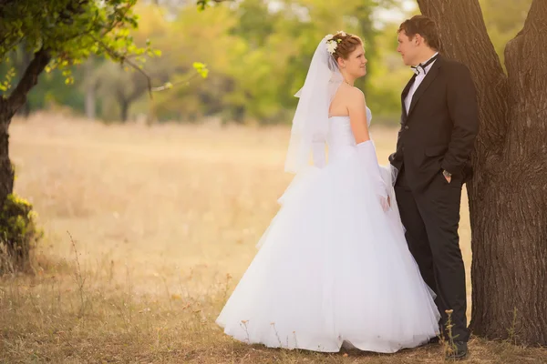 ロマンチックな結婚式のカップル — ストック写真