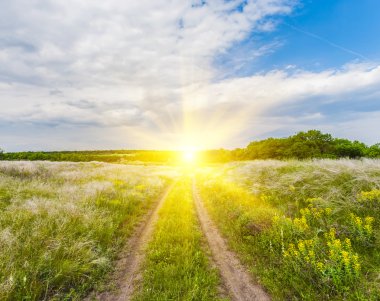 Yeşil çimenli yaz manzarası