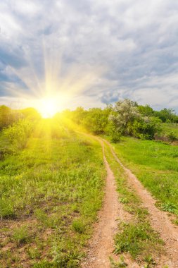 Yeşil çimenli yaz manzarası