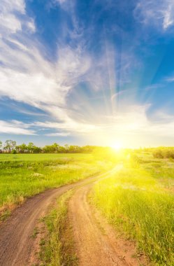 Yeşil çimenli yaz manzarası