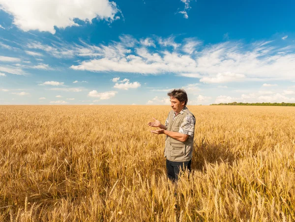 Bauer steht in einem Weizenfeld — Stockfoto