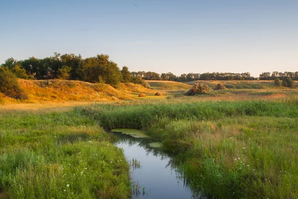 Obrázek zeleného pole a modré nebe — Stock fotografie