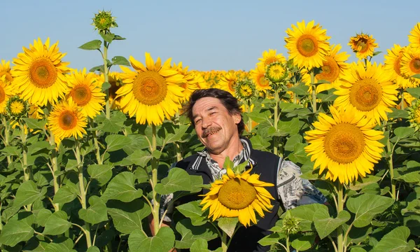 向日葵畑に立っている農夫 — ストック写真