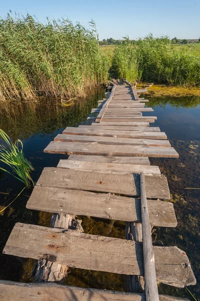 Pont en bois, la rivière — Photo