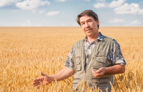 Rolnik stojący na polu pszenicy — Zdjęcie stockowe