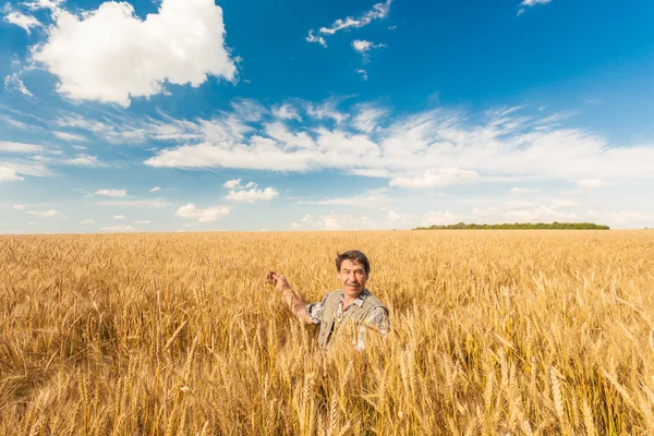 Agricultor de pie en un campo de trigo — Foto de Stock
