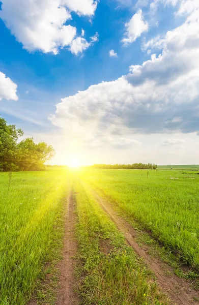 Yeşil çimenli yaz manzarası