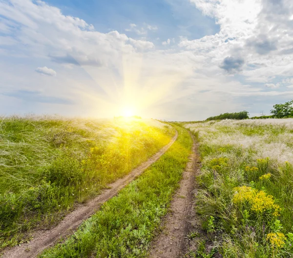 Sommar landskap med grönt gräs — Stockfoto