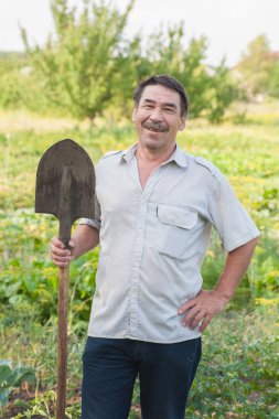Bir buğday tarlasında duran çiftçi