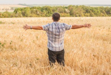 Bir buğday tarlasında duran çiftçi