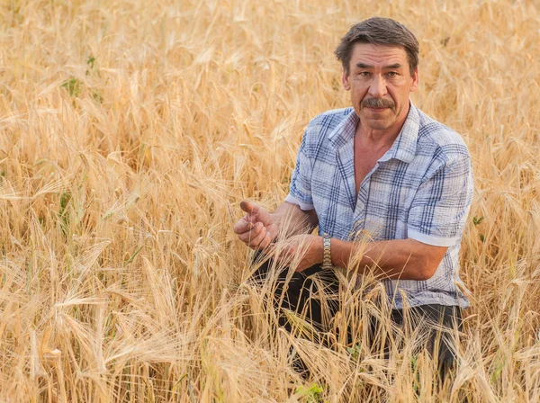 Agricoltore in piedi in un campo di grano — Foto Stock