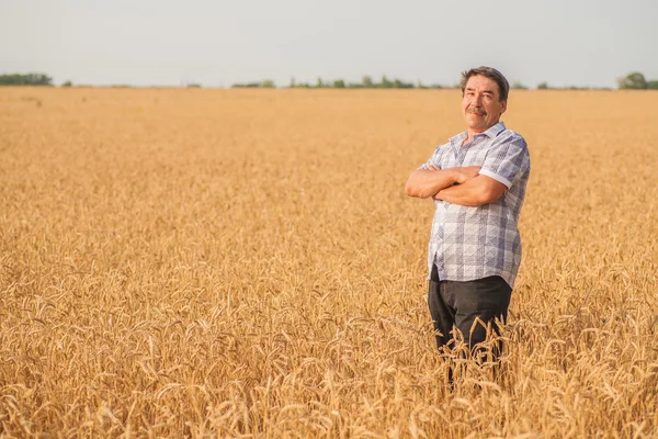 Boer die op een tarweveld staat — Stockfoto