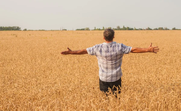 Farmář stojící na pšeničném poli — Stock fotografie