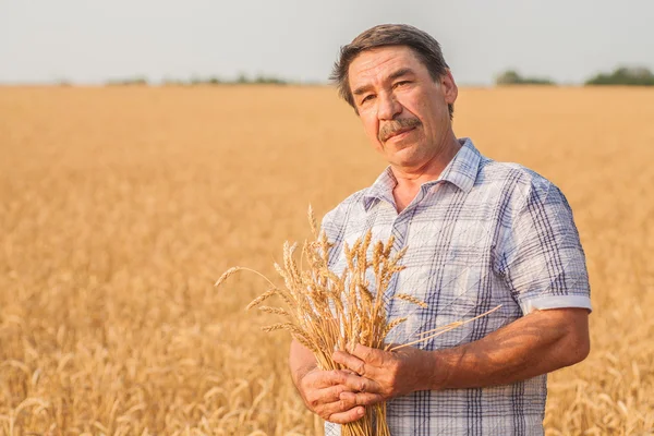 Farmer standing in a wheat field — Stock Photo, Image