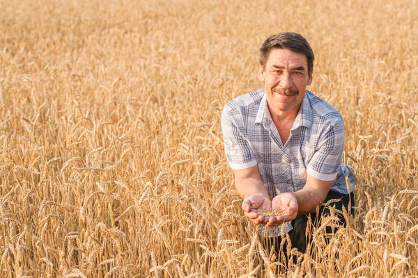 Bauer steht in einem Weizenfeld — Stockfoto