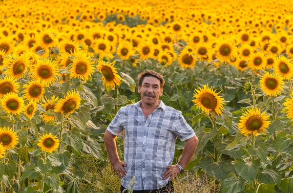 Boer kijken naar zonnebloem — Stockfoto