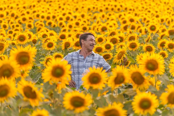 Agricoltore guardando girasole — Foto Stock