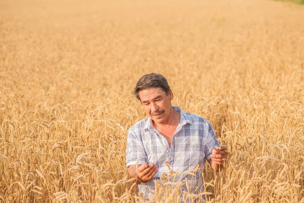 Agricoltore in piedi in un campo di grano — Foto Stock