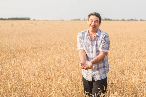 Agricoltore in piedi in un campo di grano — Foto Stock