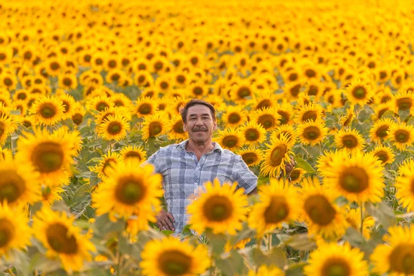 Boer kijken naar zonnebloem — Stockfoto