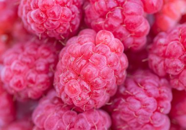 taze ahududu arka plan