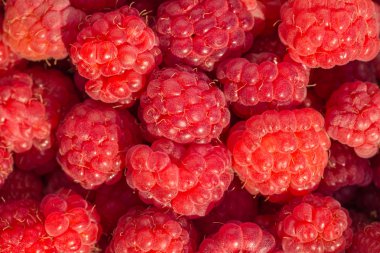 taze ahududu arka plan