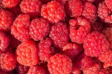 taze ahududu arka plan