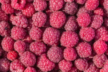 taze ahududu arka plan