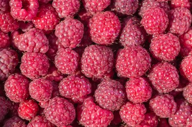 taze ahududu arka plan