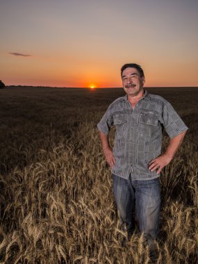 Bir buğday tarlasında duran çiftçi