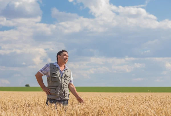 Farmer standing in a wheat field — Stock Photo, Image