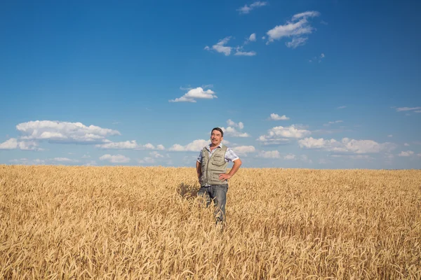 站在麦田里的农民 — 图库照片