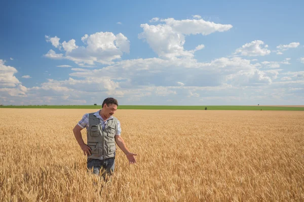 Agricultor de pie en un campo de trigo —  Fotos de Stock