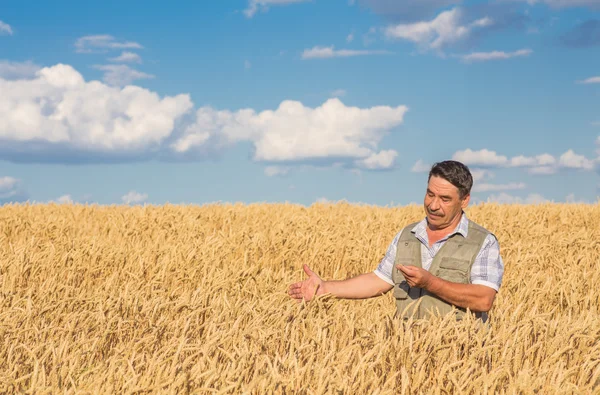 Agricoltore in piedi in un campo di grano — Foto Stock