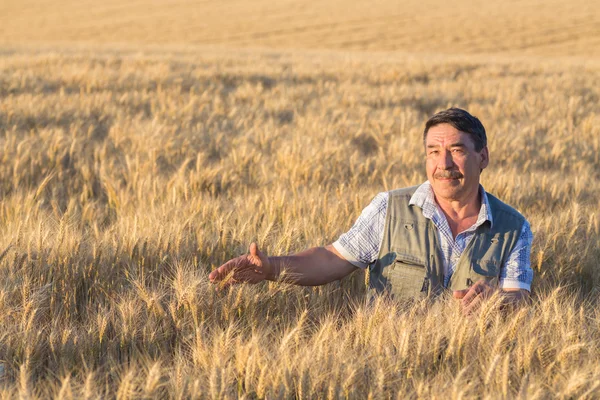 Bauer steht in einem Weizenfeld — Stockfoto