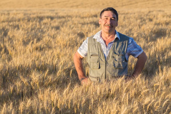 Farmer standing in a wheat field — Stock Photo, Image