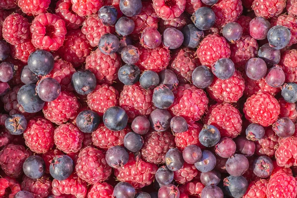 Fresh raspberry background — Stock Photo, Image