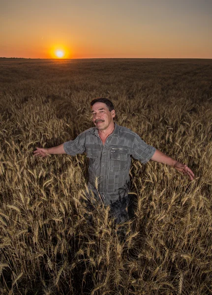 Boer die op een tarweveld staat — Stockfoto